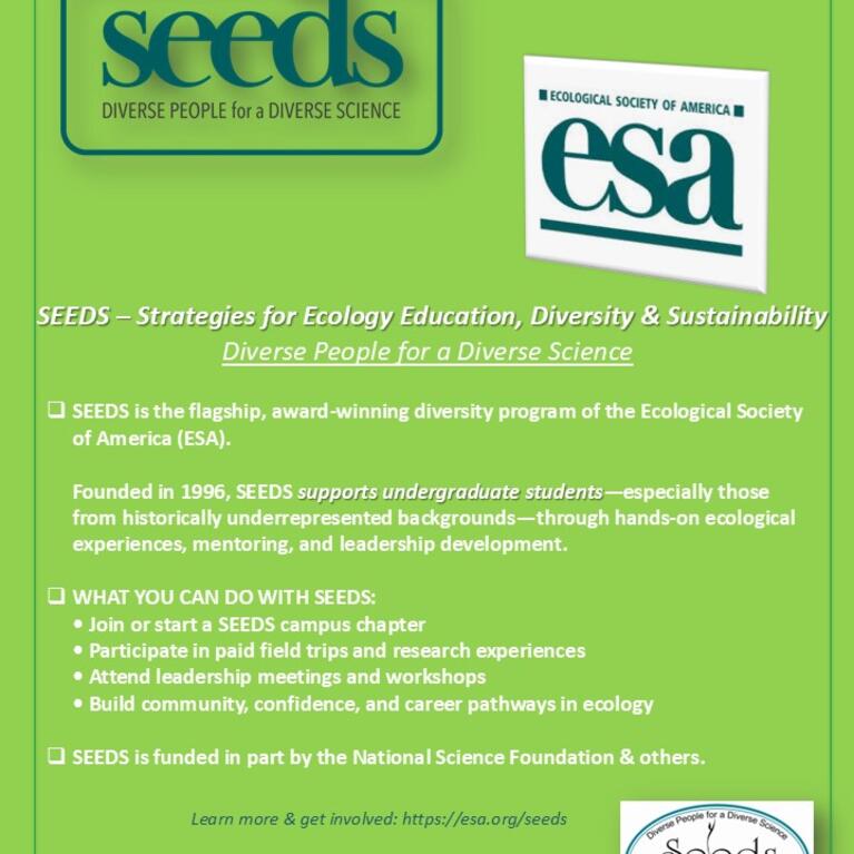 seeds_esa_undergraduate_flyer_editable.jpg
