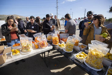 Tasting and rating new varieties of citrus developed at UCR