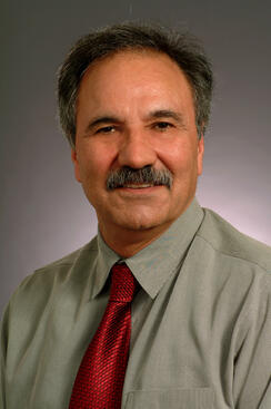 Reza Abbaschian