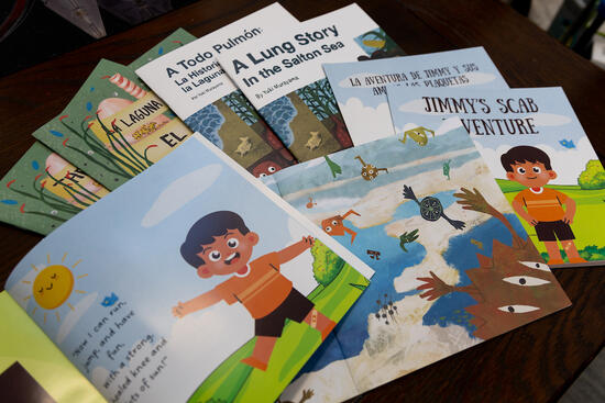 Comic books David Lo published