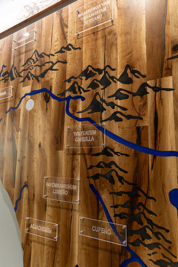 Map display in oak tree art