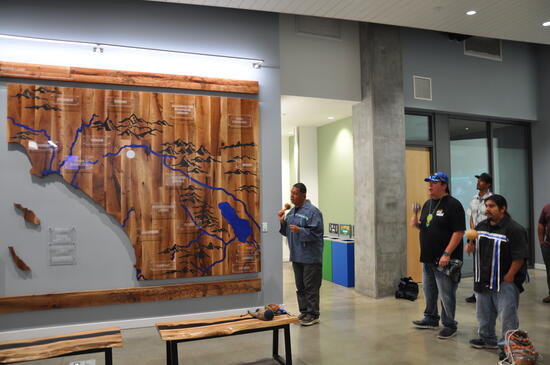 oak tree art display