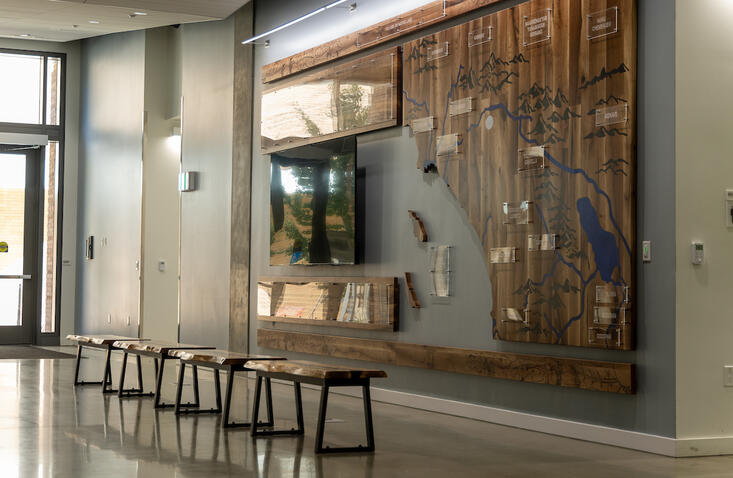 oak tree art display