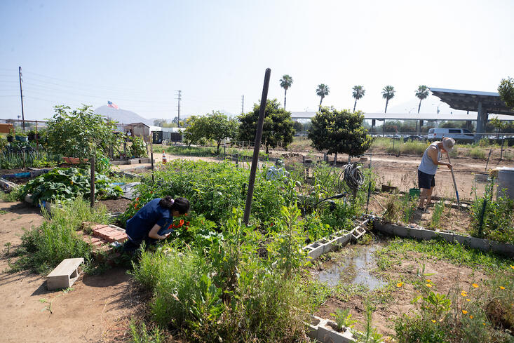 Community plot area of R'Garden